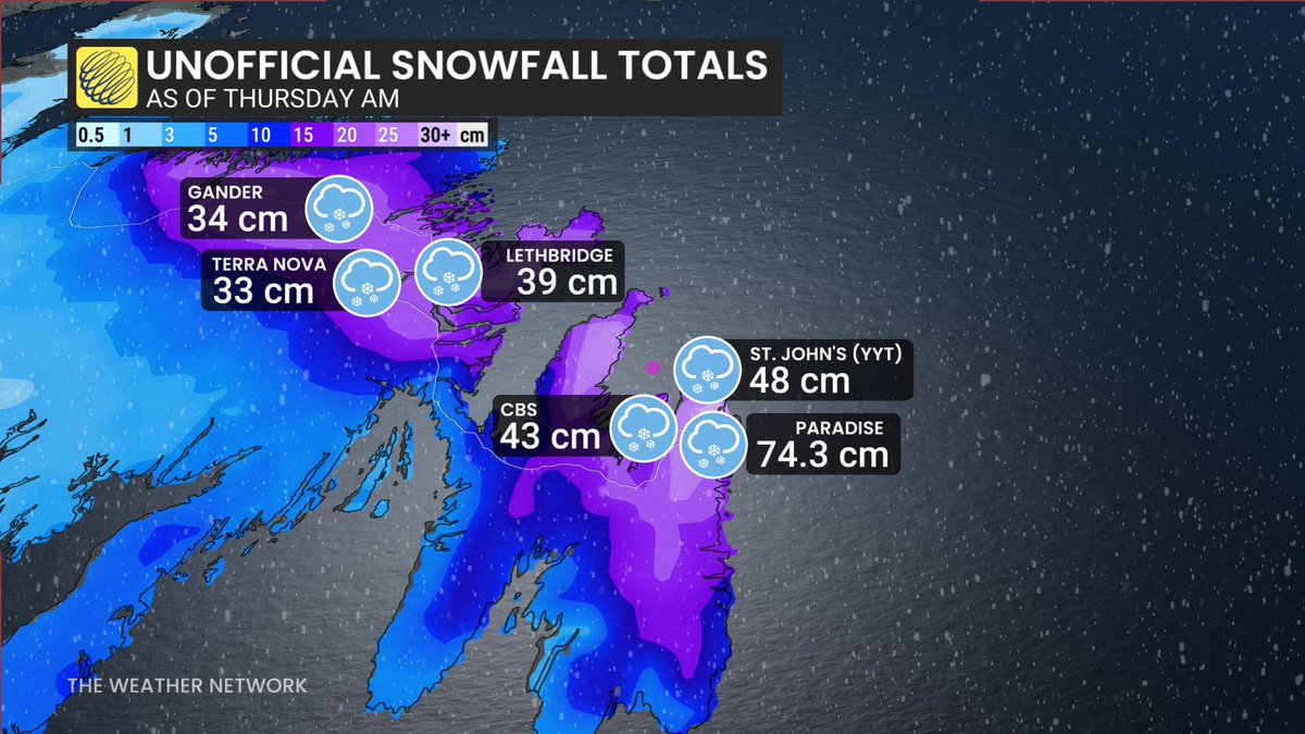 Kim MacDonald 🌻 tweet media