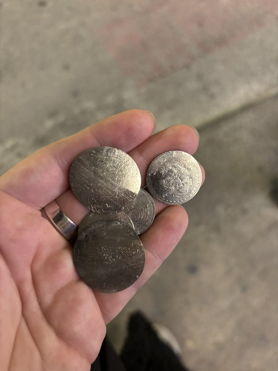 коренастая птичка tweet media