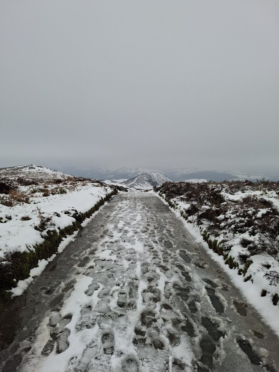 Lisa Wilde tweet media