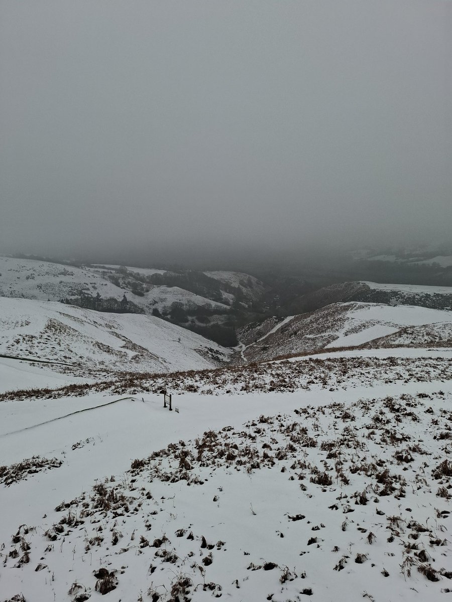 Lisa Wilde tweet media