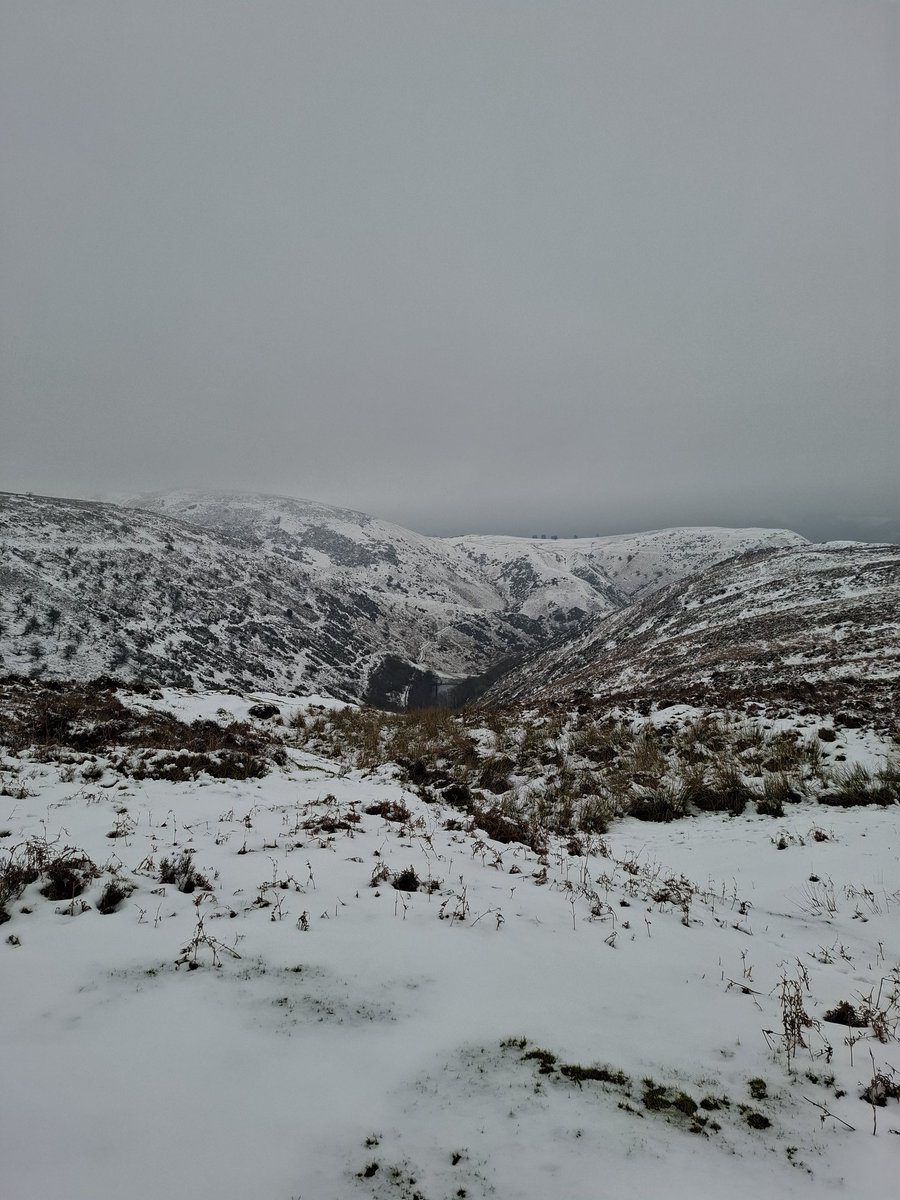 Lisa Wilde tweet media