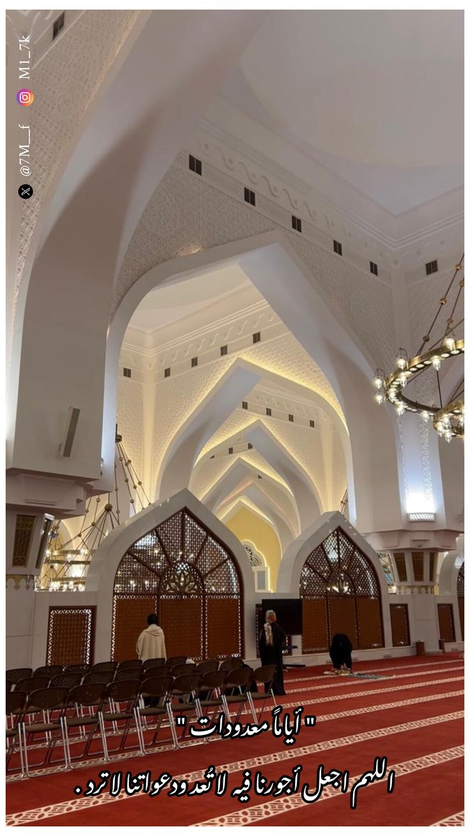 مروءة امرأة tweet media