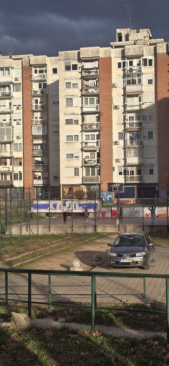 Bogoljub Zeljković tweet media