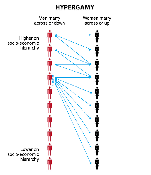 Fermented Casava tweet media
