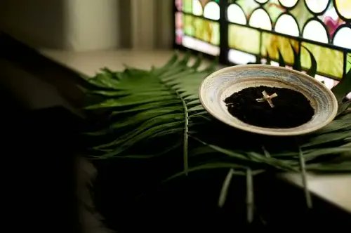 Le Fil Catholique tweet media