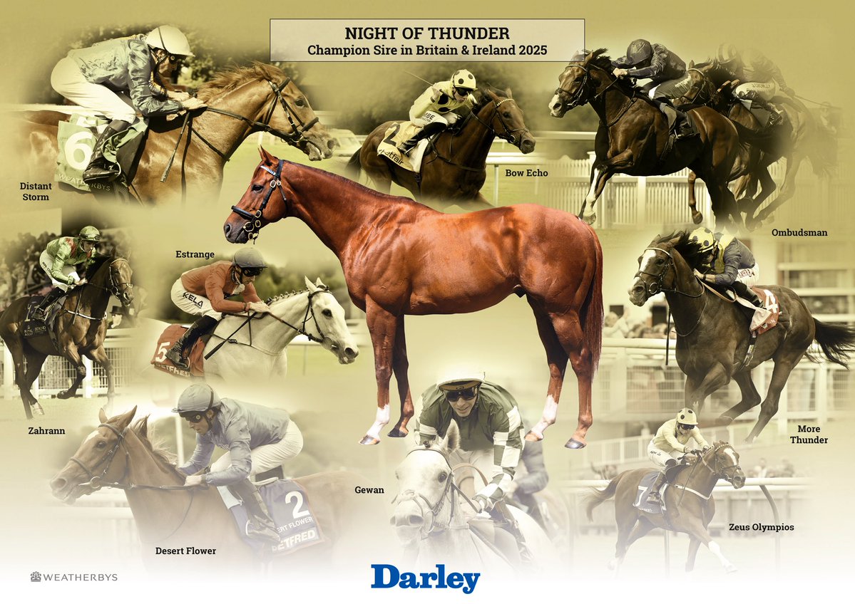 What an absolute pleasure it was to visit Kildangan Stud earlier today to present Jimmy Hyland, Eamon Moloney and the team a framed montage recognising the outstanding feat by Night Of Thunder <a href="/DarleyStallions/">Darley</a> to be crowned Champion sire in 🇬🇧 &amp; 🇮🇪 for 2025.
It was also great to