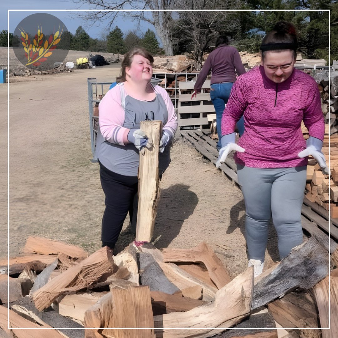 Hays USD 489 tweet media