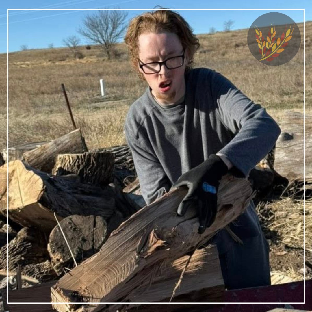 Hays USD 489 tweet media