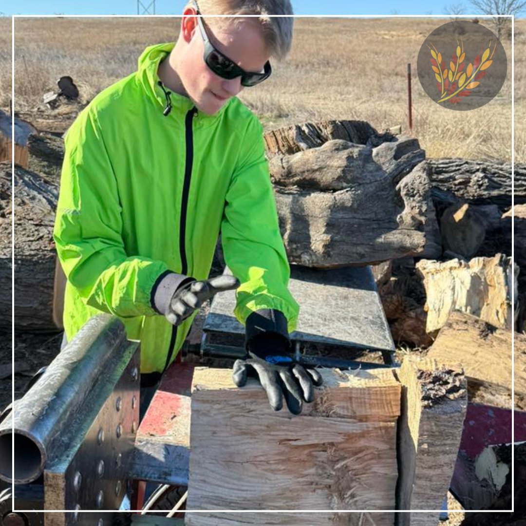 Hays USD 489 tweet media