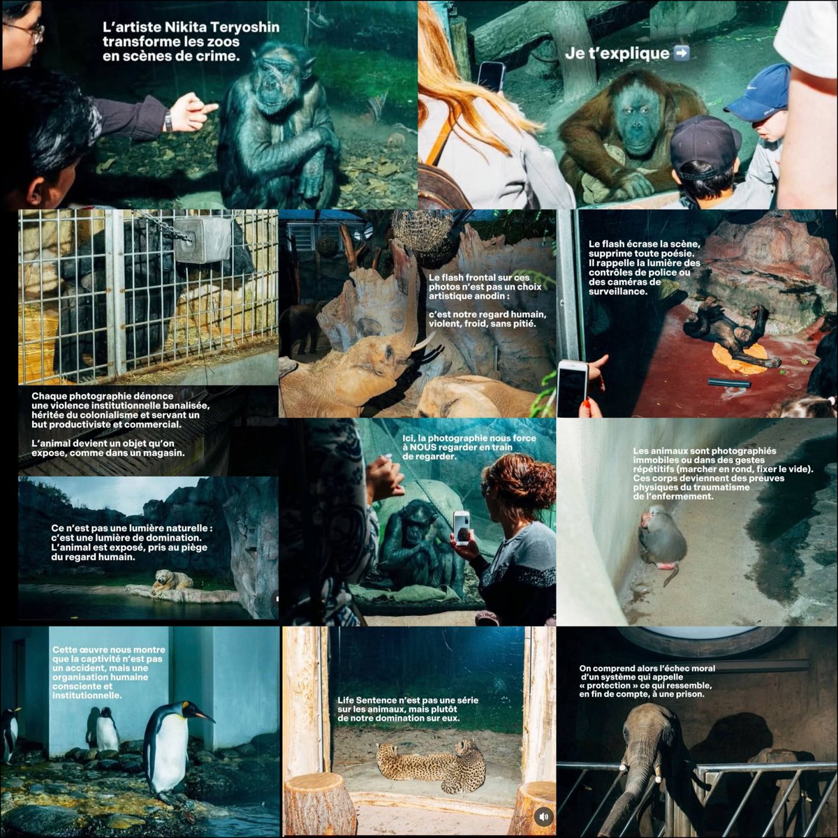 Adea Claude tweet media