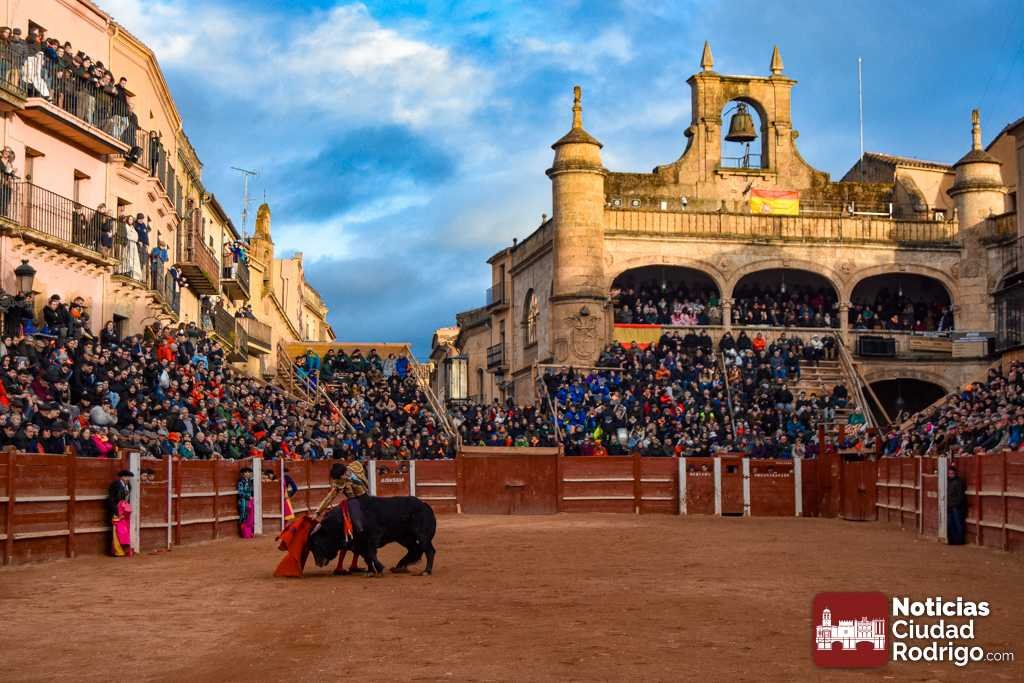 El Carnaval del Toro de Ciudad Rodrigo es galardonado con el Premio Nacional de Tauromaquia 2025

noticiasciudadrodrigo.com/2026/02/19/el-…