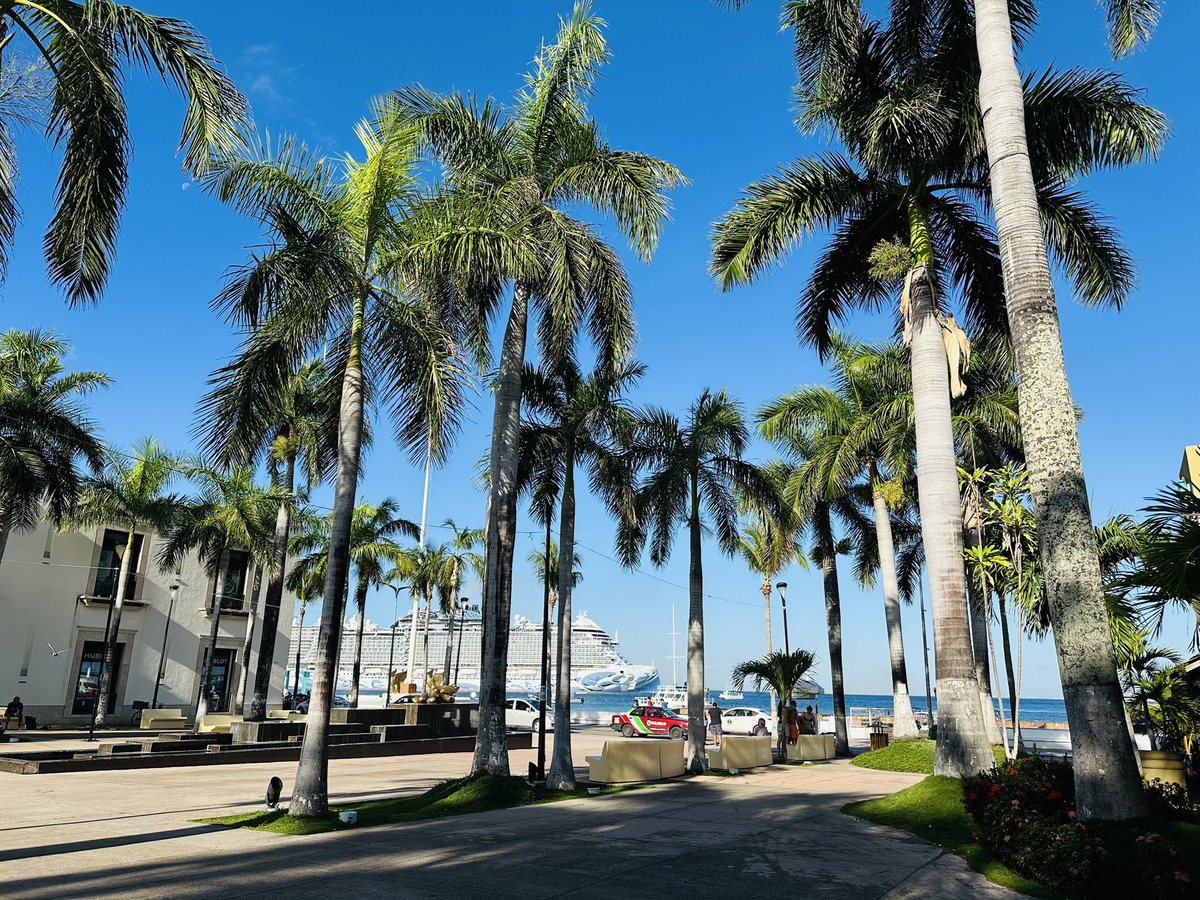 Una mañana por el malecón de Cozumel es el inicio perfecto de cualquier aventura 🏝️✨

#transcaribe #cozumel