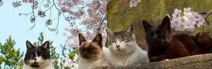 ᏲᎾ • 21/168 hours tweet media