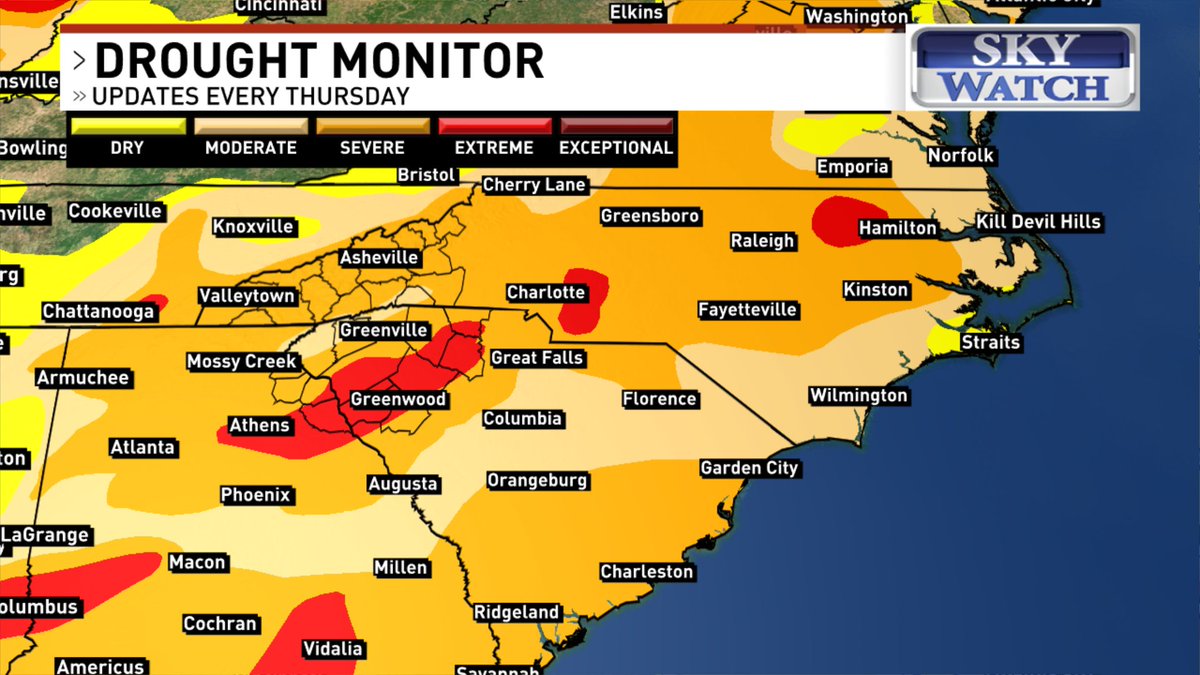 Julia Haley tweet media