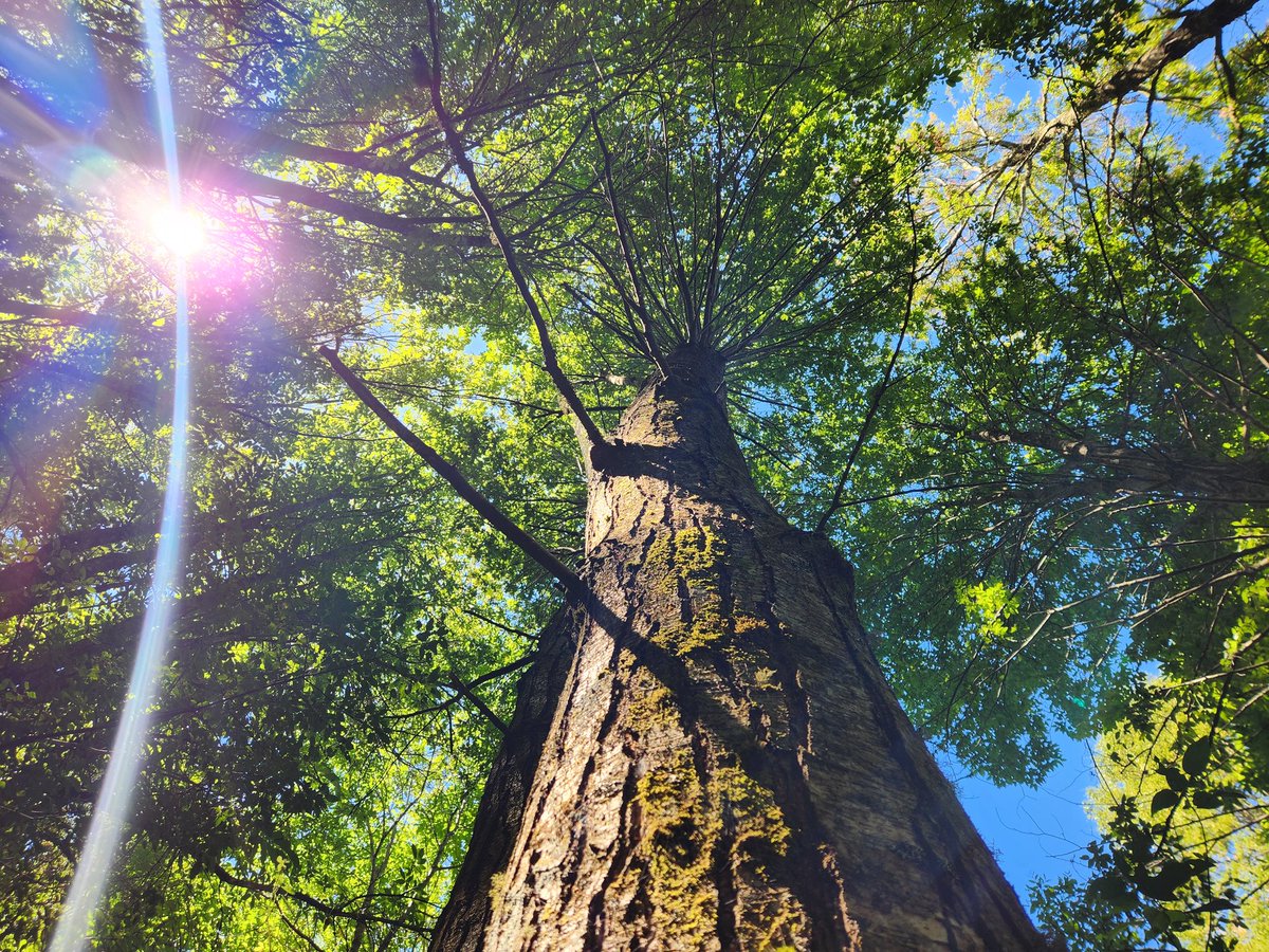 Buen jueves para todos .. 🏕️