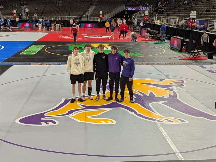 Purple Pride tweet media