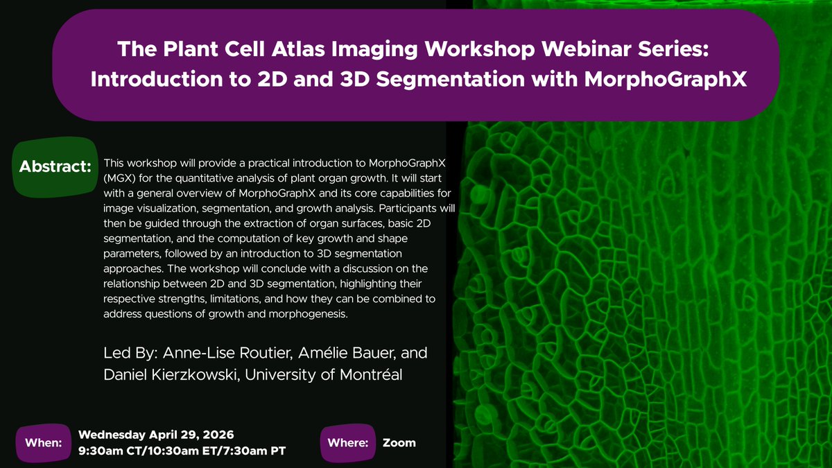 PlantCellAtlas.bsky.social tweet media