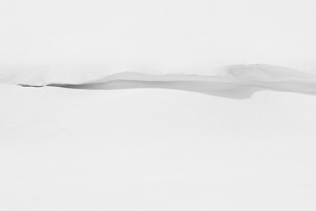 Abbas Rahmani tweet media