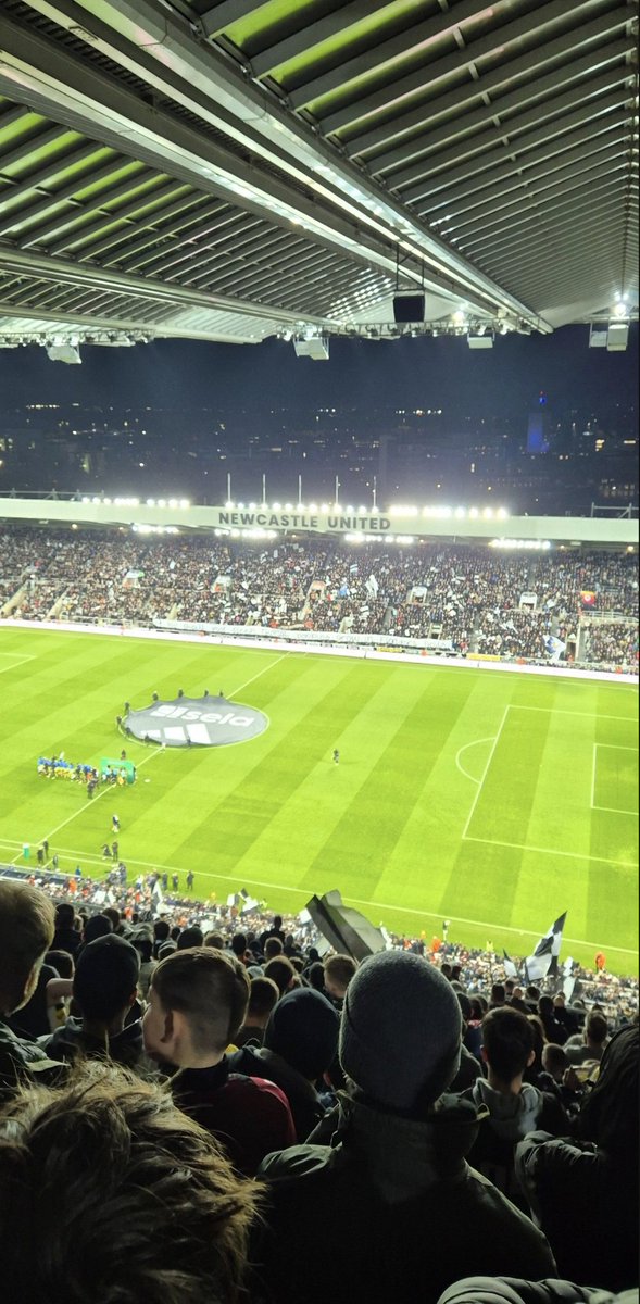 🖤🤍 tweet media