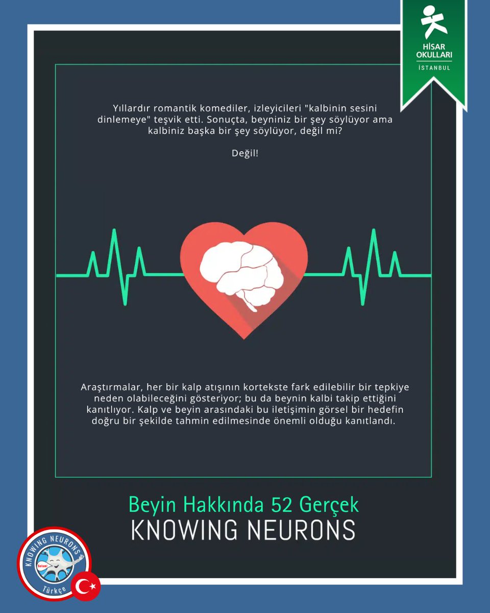 Knowing Neurons tweet media