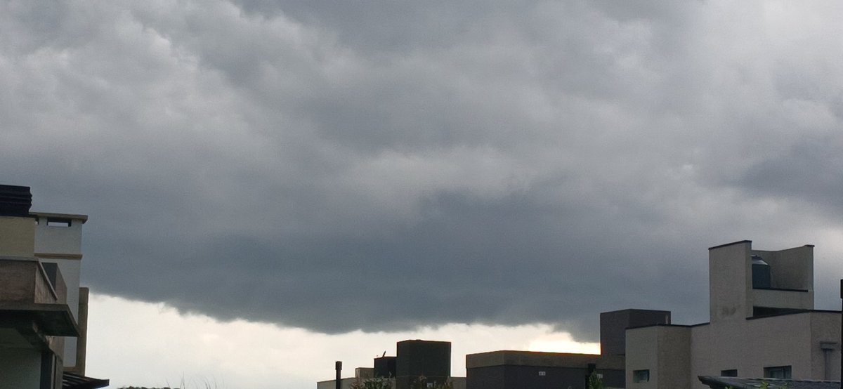 Alvaro Simon Padros tweet media