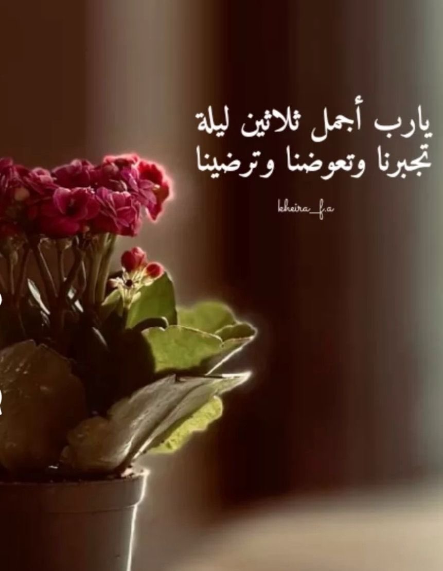 ..📚

"الصّوم عبادةٌ كريمةٌ 
قوامها أن يمتلك الإنسان نفسه، 
وأن يحكّم هواه ،، وأن تكون لديه العزيمة ،الّتي يترك بها ما يشتهي فتتحرّر الإرادة الإنسانيّة."
———
<a href="/houseofreaders/">بيتُ القُرَّاء 📚</a> 
<a href="/zubrajudharf/">#زبرجد_حرف</a> 
<a href="/whatIReading/">ماذا أقرأ</a>