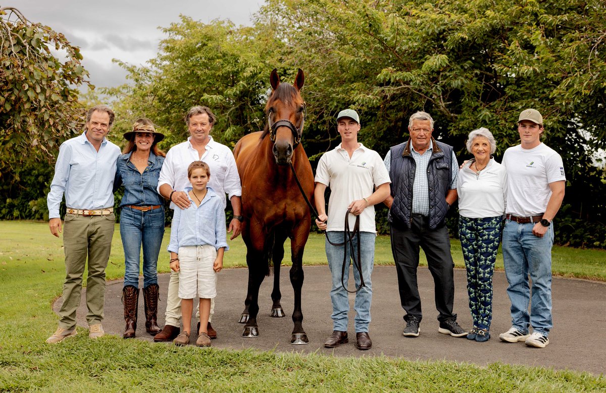 Waikato Stud tweet media