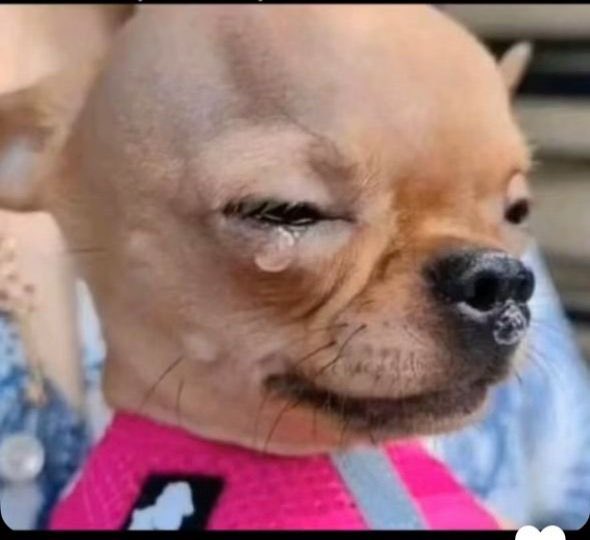 It's not even about having followers now, will they even engage you??