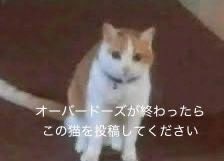 iLiFE! ねりん tweet media