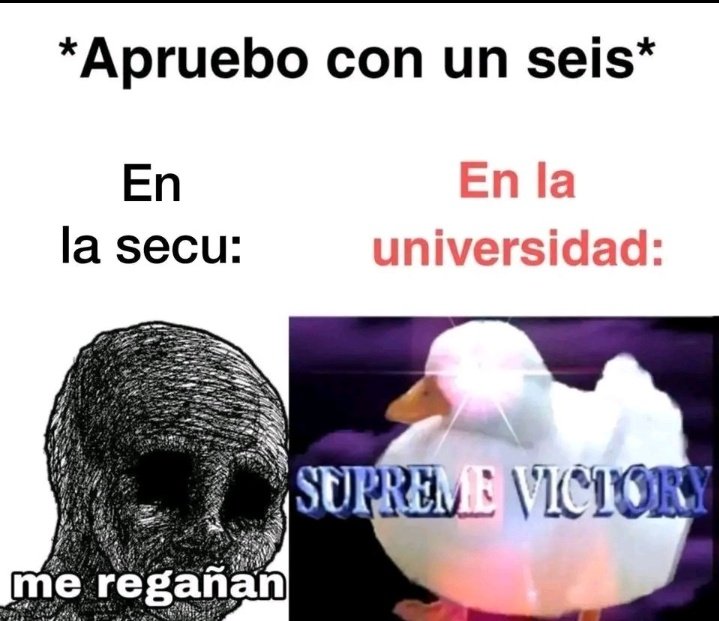 Renma 🇸🇪🇧🇩 (@renmaa_owo) on Twitter photo 