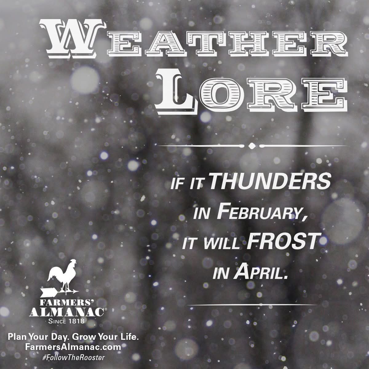 Premier Crop Insurance tweet media