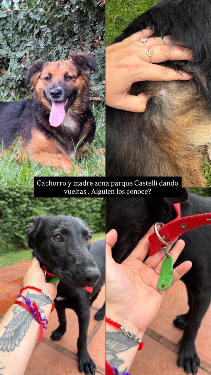 ZONA PARQUE CASTELLI .
AYUDEN A DIFUNDIR