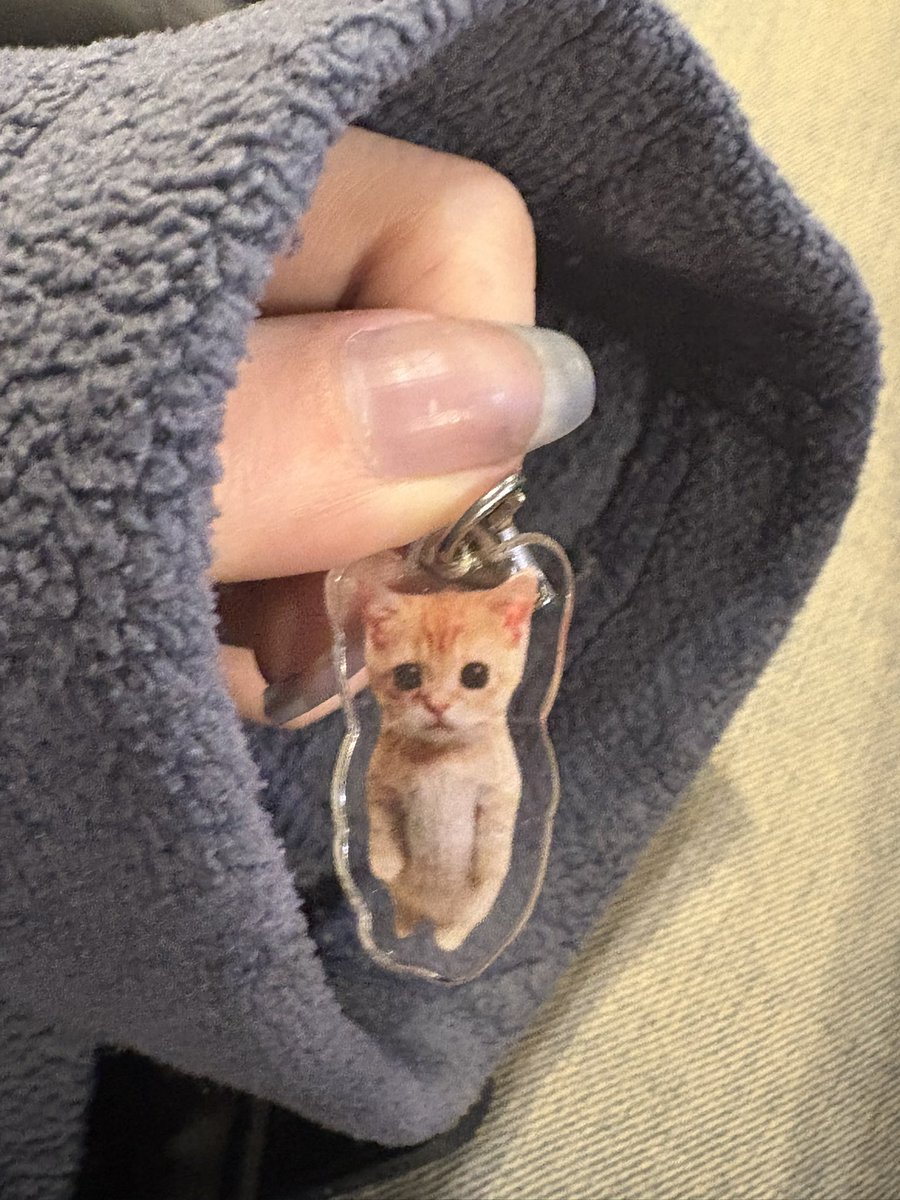 el gato <a href="/primece1/">eco</a>