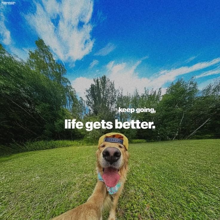 anuoshkasingh's tweet photo. Keep going, life gets better. 
#LetsConnect #random https://t.co/8SpuTvyIZe