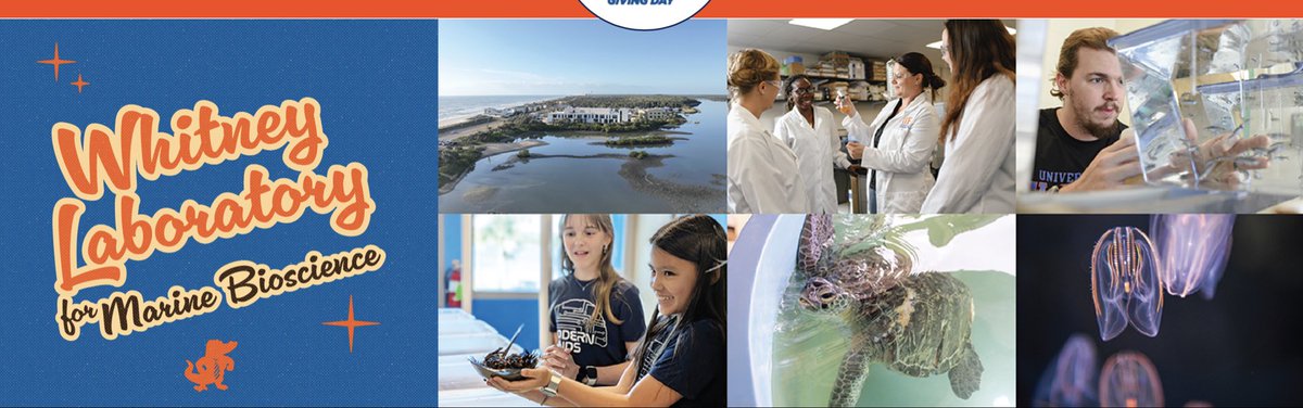 Sandra Loesgen (loesgenlab.bsky.social) tweet media