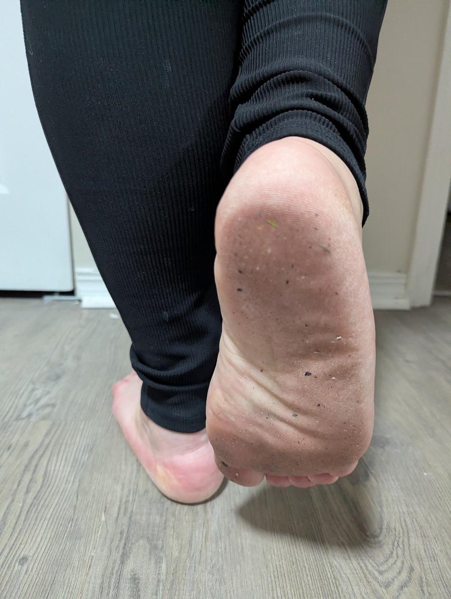 PrincessPanda tweet media