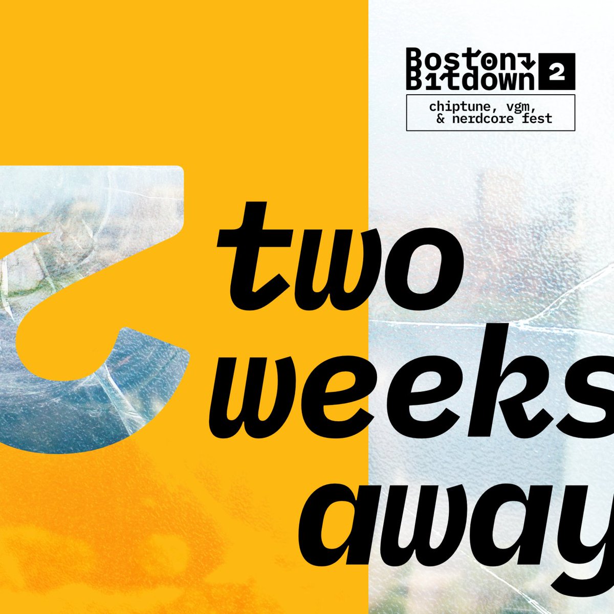 bostonbitdown tweet media