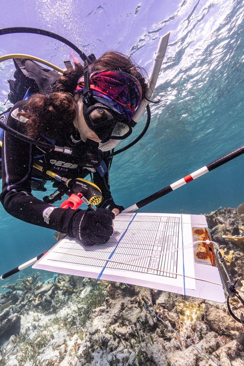 OceanTech tweet media