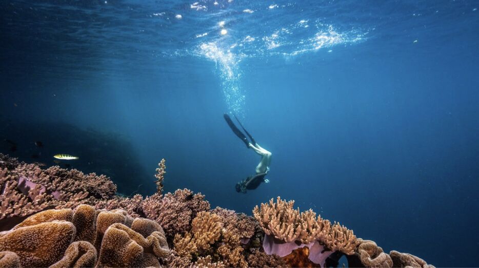 OceanTech tweet media