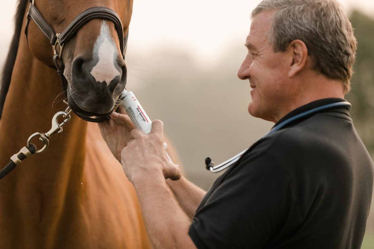 platinumperf's tweet photo. Platinum Bio-Sponge® is there when you need it. 

Bio-Sponge® was designed to support healthy gastrointestinal function and reduce symptoms of intestinal disturbance in foals and adult horses. https://t.co/THMKo51lwY