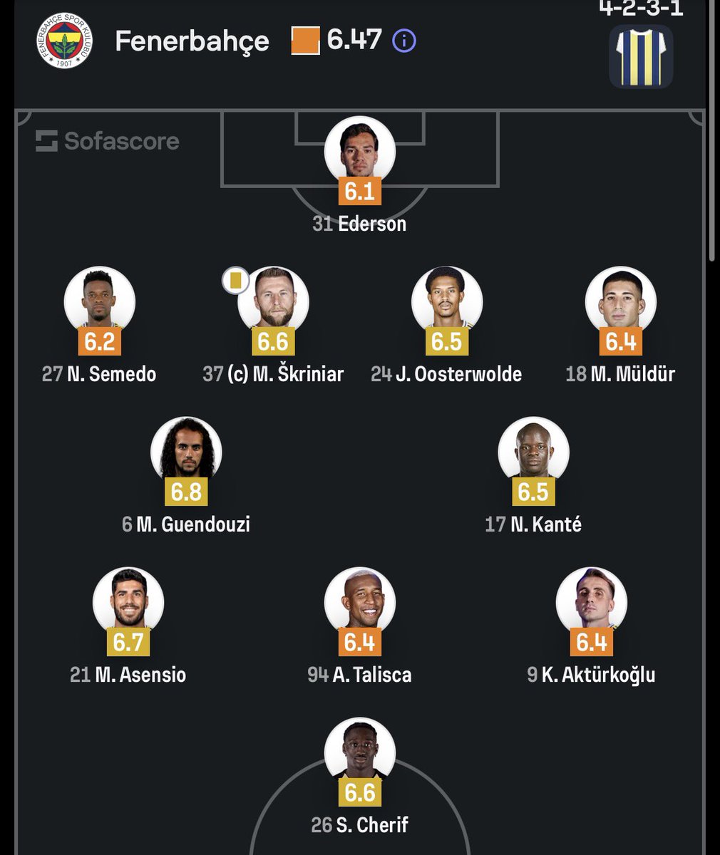 team full of washed dogs