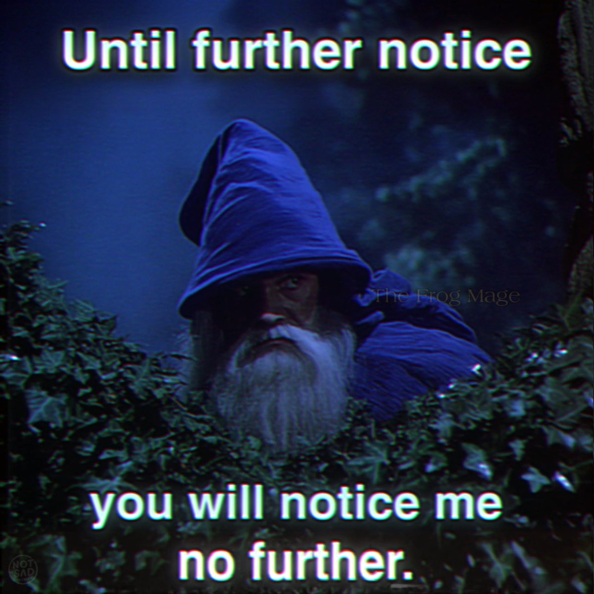 the_frog_mage's tweet photo. So long. 🧙‍♂️ https://t.co/WEe6YITyMc