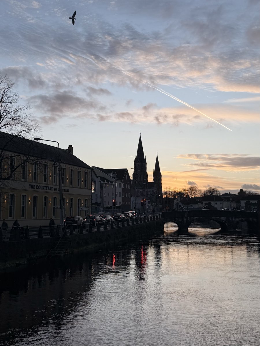 Fionnuala O’Herlihy tweet media