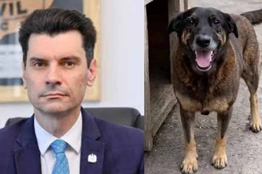 Metrópoles tweet media