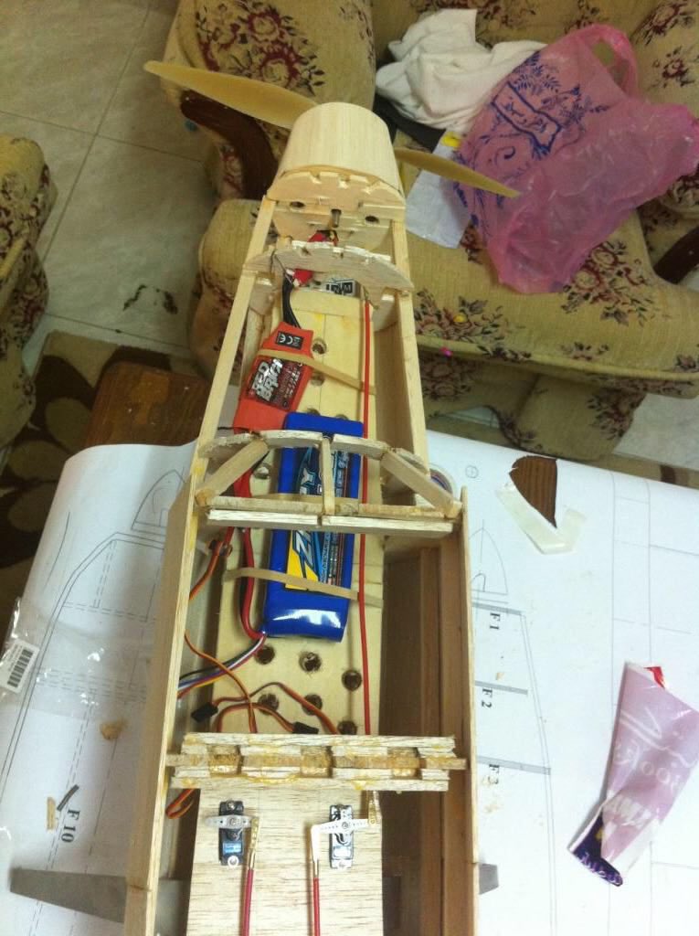 م. عادل ( النخبوي 💚 ) tweet media