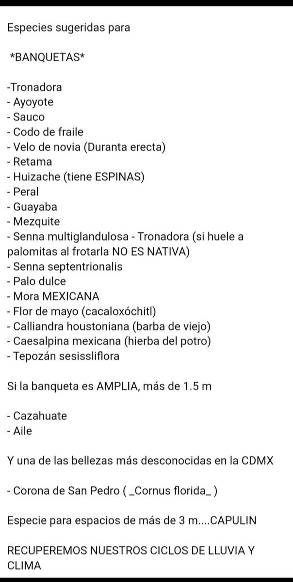 Alejandro Juárez #DiálogoCivilMilitar tweet media