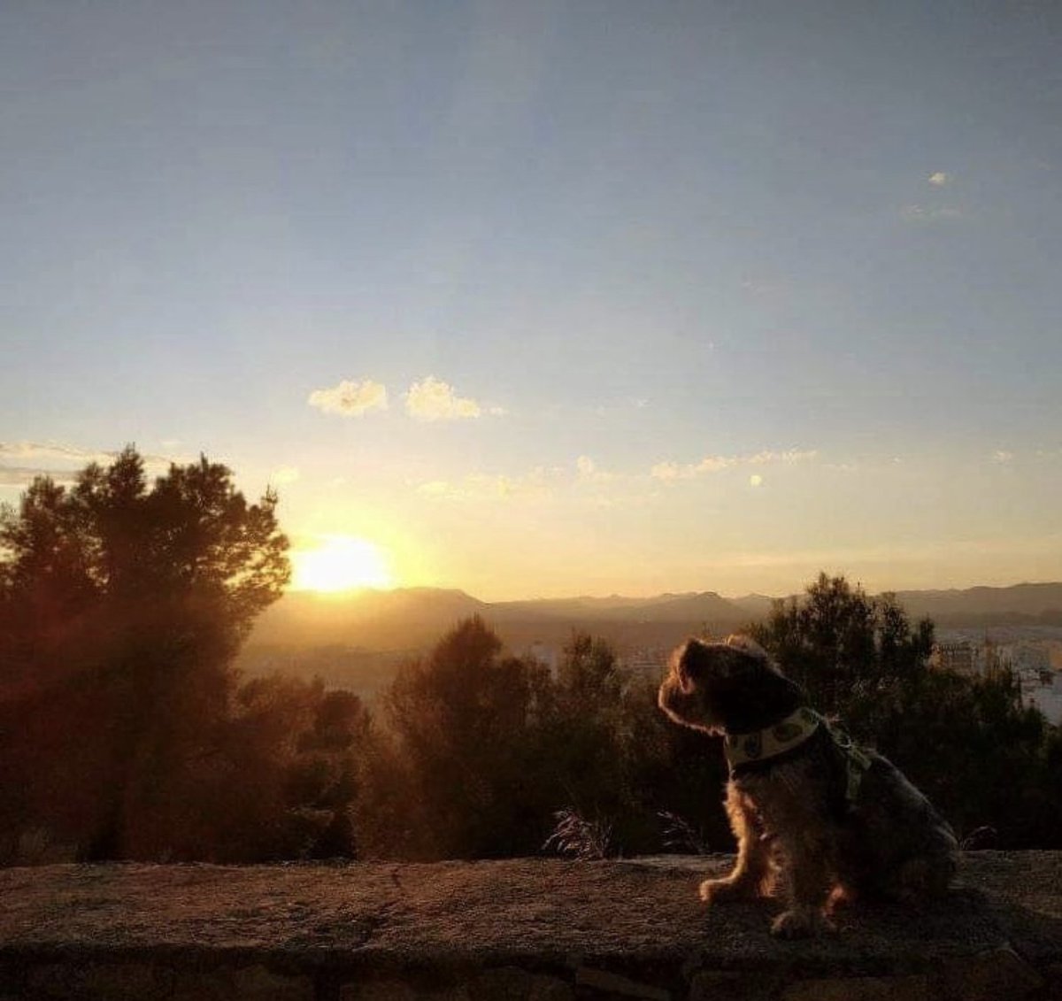 4 años sin ti, te echo tanto de menos 😔💔