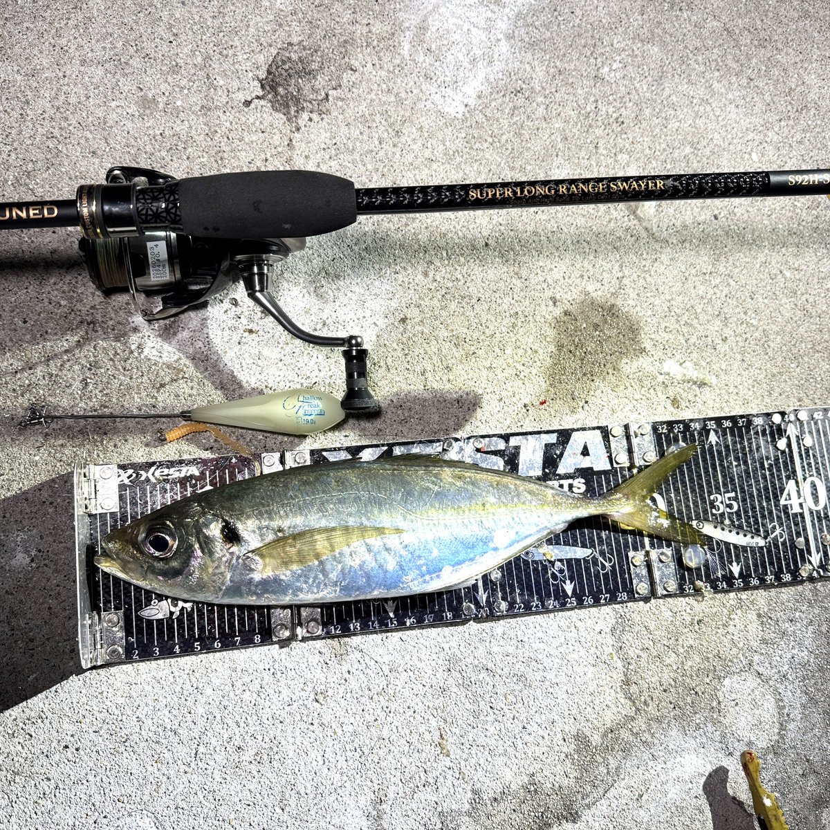 Ryoppi (@ryooo_fishing) / Posts / X