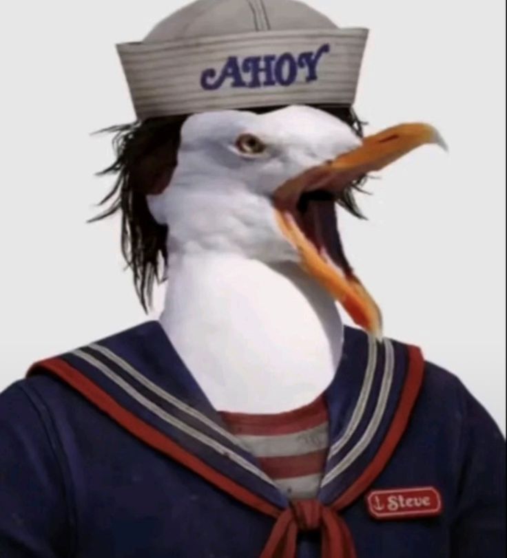 3zel4322's tweet photo. @DeadbyDaylight Bring back stevegull COMPLETELY https://t.co/NYbRE0uvqt