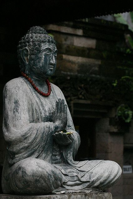 The Buddha once said that hatred was like drinking poison and expecting the other person to die. Let go of your resentments. Life is too short.